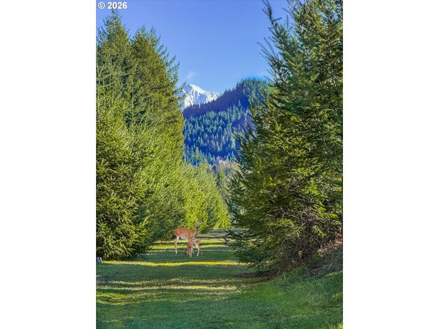52135 E TERRA FERN Dr, Sandy, OR 97055