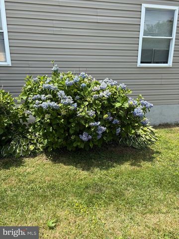 317 VIRGINIA RD, Stevensville, MD 21666