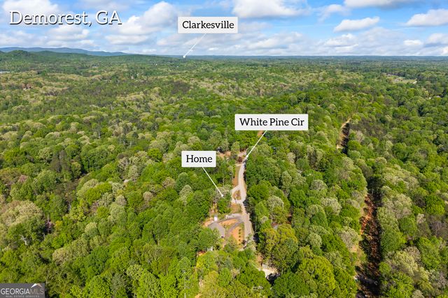 580 White Pine Circle, Demorest, GA 30535