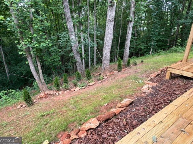 580 White Pine Circle, Demorest, GA 30535