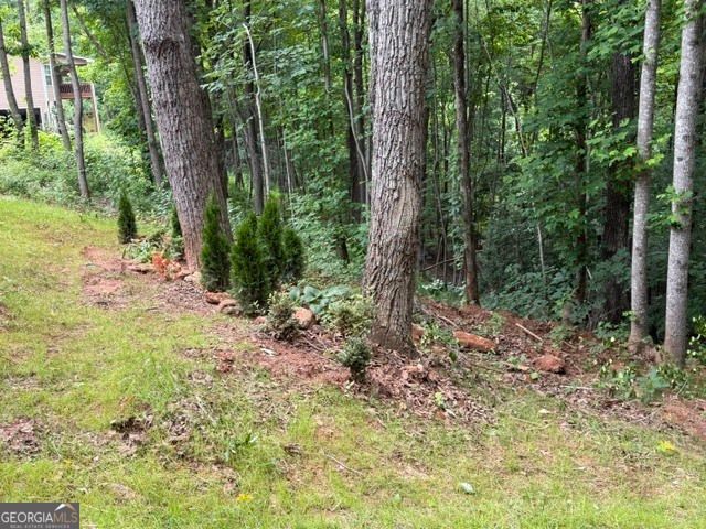 580 White Pine Circle, Demorest, GA 30535