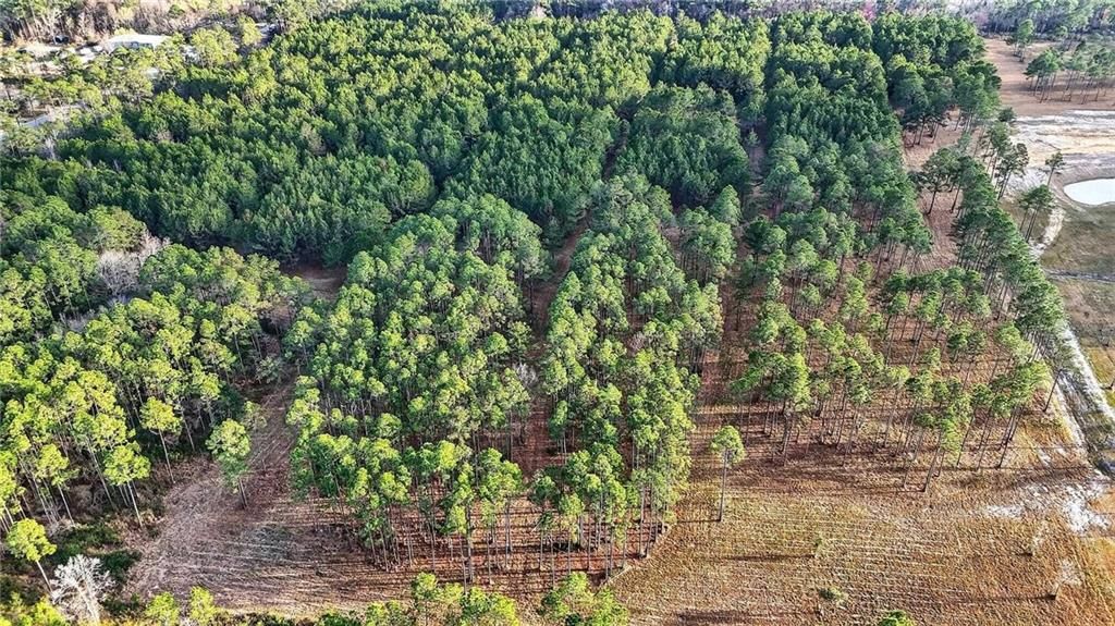 0 Hemley Road, Coden, AL 36523 — photo 2