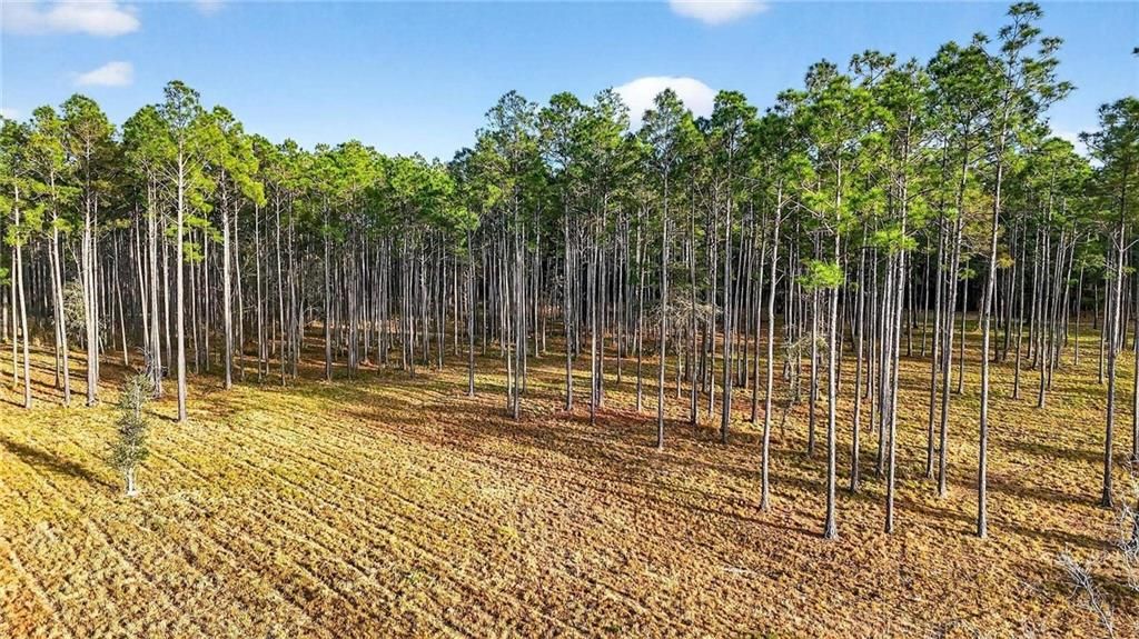 0 Hemley Road, Coden, AL 36523 — photo 3