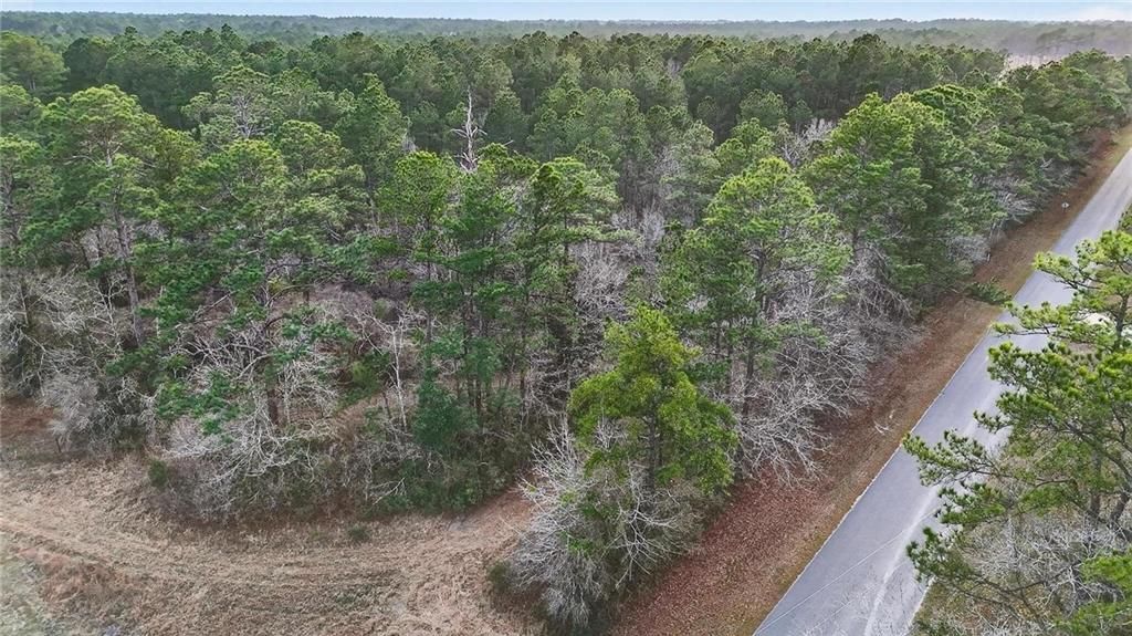 0 Hemley Road, Coden, AL 36523 — photo 5