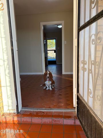 912 ARGENTINA Street, El Paso, TX 79903