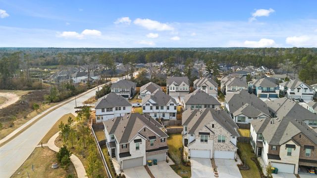 120 West Coralburst Loop, Montgomery, TX 77316