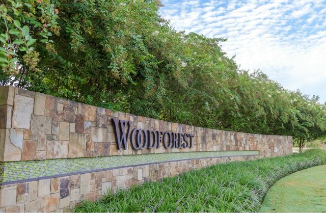 120 West Coralburst Loop, Montgomery, TX 77316