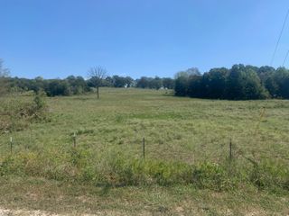 000 Rail Hollow Ranch Lot 7, Theodosia, MO 65761