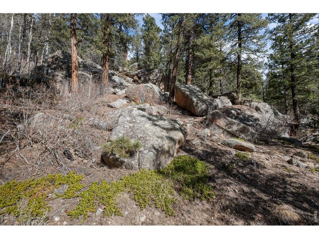 31468 Kings Vly W, Conifer, CO 80433