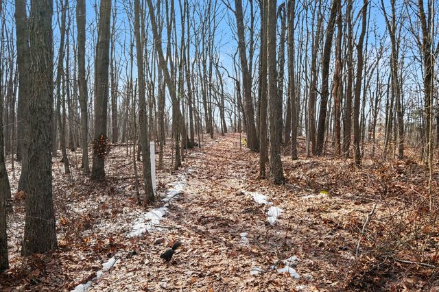 7494 Shelburne Court Ne, Ada Twp, MI 49301