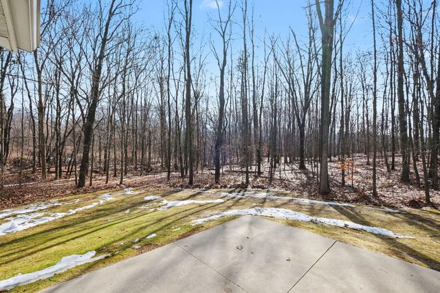 7494 Shelburne Court Ne, Ada Twp, MI 49301