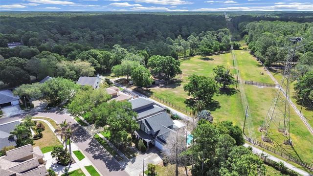 1083 MISTY HOLLOW LANE, Tarpon Springs, FL 34688
