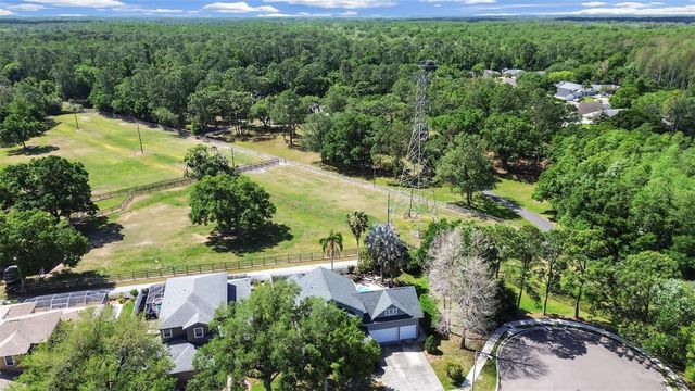 1083 MISTY HOLLOW LANE, Tarpon Springs, FL 34688