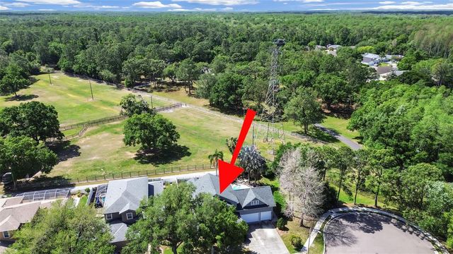 1083 MISTY HOLLOW LANE, Tarpon Springs, FL 34688