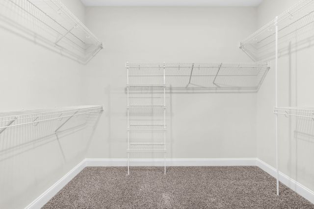 203 Donegal Dr, Clarksville, TN 37042