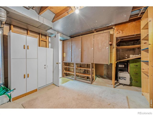 1429 Lashley Street, Longmont, CO 80504