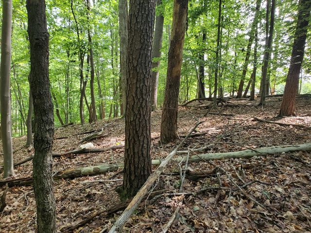 Lot 120 Park Way AVE, Moneta, VA 24121