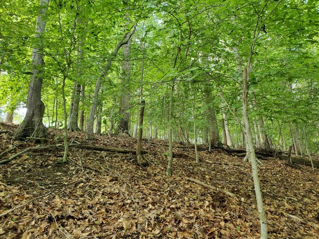 Lot 120 Park Way AVE, Moneta, VA 24121