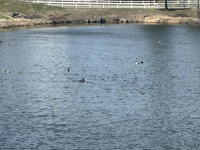 14075 Dartmouth Path, Rosemount, MN 55068