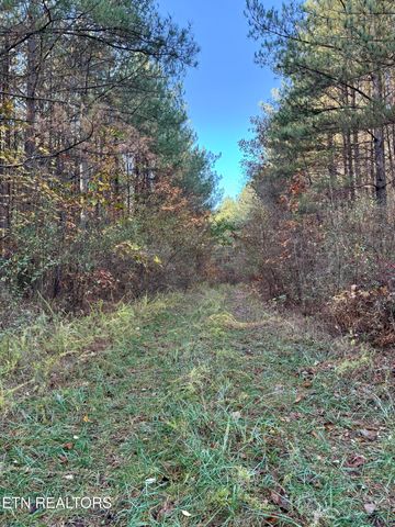 Airport Rd. Lot 6, Rockwood, TN 37854