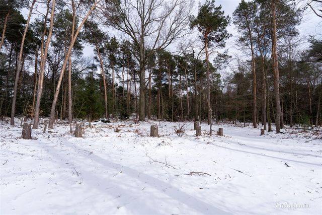 4184 Butternut Drive, Holland, MI 49424