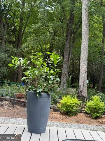 531 Hidden Valley Road, Cleveland, GA 30528