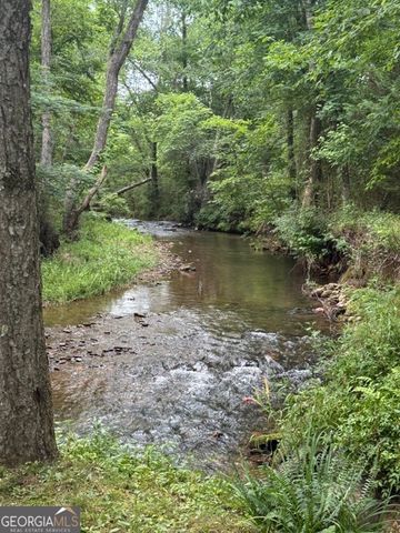 531 Hidden Valley Road, Cleveland, GA 30528