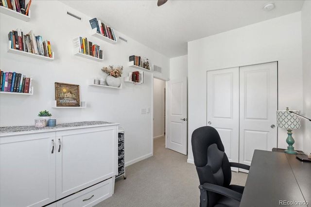 18221 French Creek Avenue, Parker, CO 80134