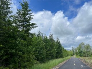0 NKA Finkas Road, Toutle, WA 98649