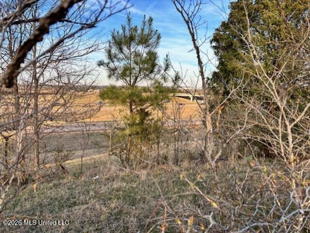 100 Dempsey Dr., Byhalia, MS 38611 — exterior