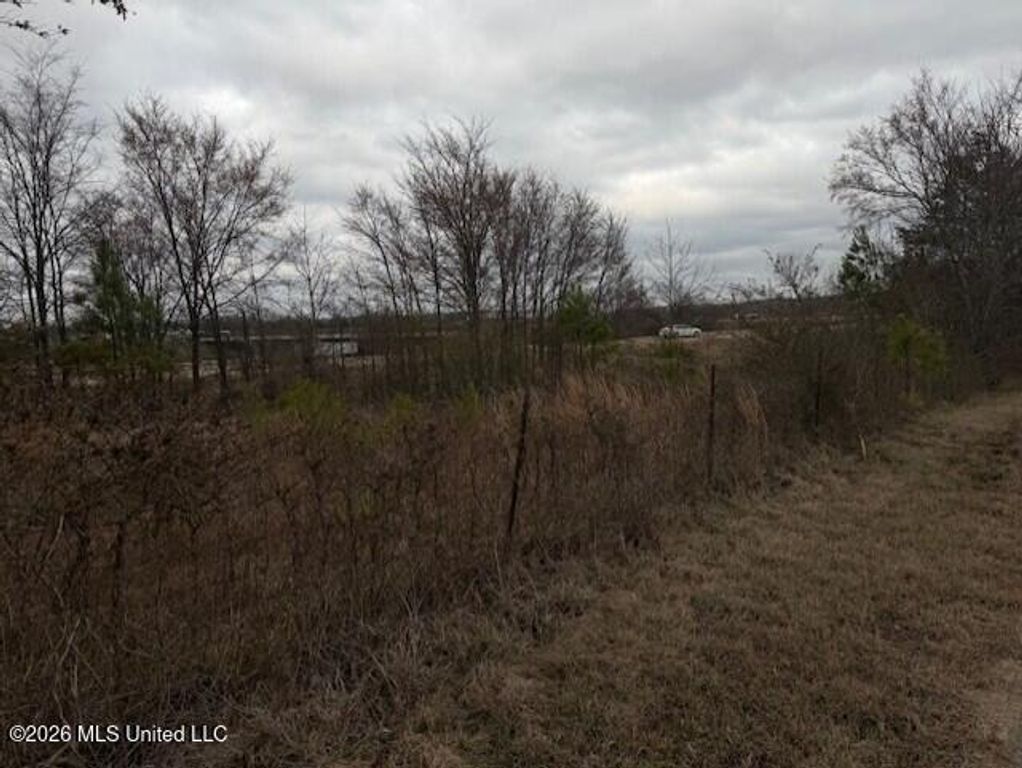 100 Dempsey Dr., Byhalia, MS 38611 — photo 5