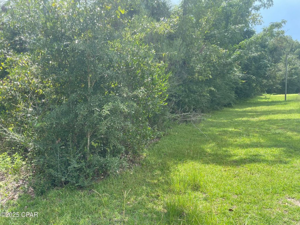 0000 Lot 9 Calhoun Road Road, Greenwood, FL 32443