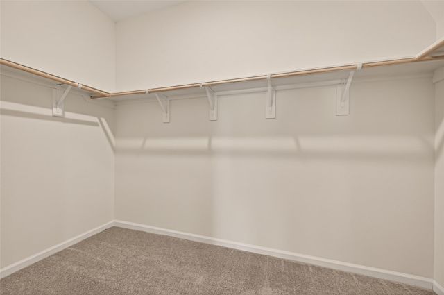 31334 Gayle Prairie Oaks Street, Waller, TX 77484