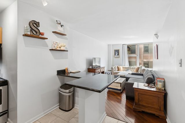 777 N Michigan Avenue 2504, Chicago, IL 60611