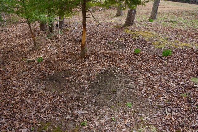 0 Daus Mountain Rd, Palmer, TN 37365