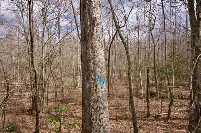 0 Daus Mountain Rd, Palmer, TN 37365