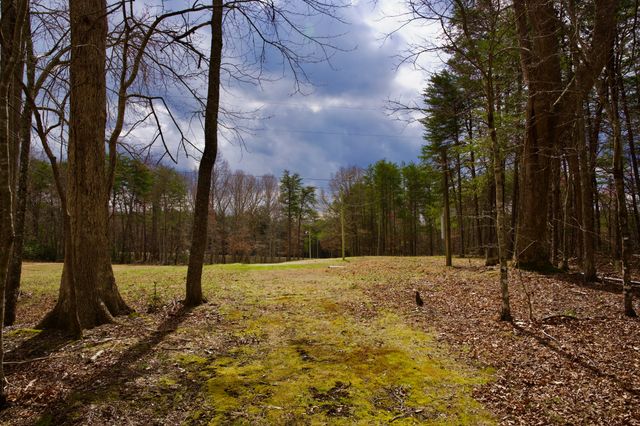 0 Daus Mountain Rd, Palmer, TN 37365