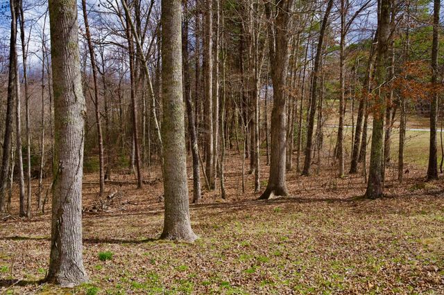 0 Daus Mountain Rd, Palmer, TN 37365
