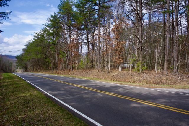 0 Daus Mountain Rd, Palmer, TN 37365