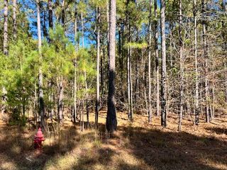 0 Mariners Way, Lot #41, Lincolnton, GA 30817
