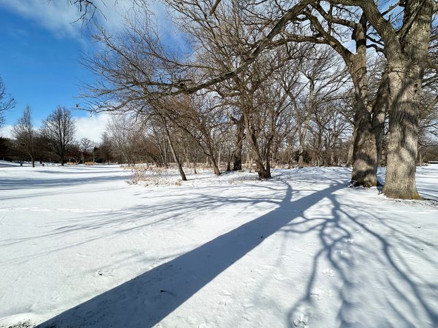 Lot 1 Royal Fox Drive, Wayne, IL 60184