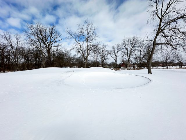 Lot 1 Royal Fox Drive, Wayne, IL 60184