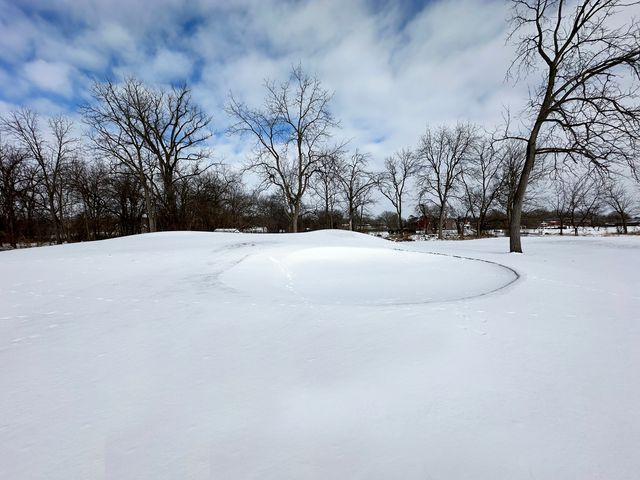 Lot 1 Royal Fox Drive, Wayne, IL 60184