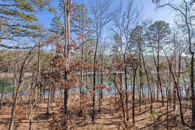 80 Stone Circle, Greers Ferry, AR 72067