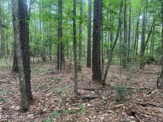NW Watts Ln, Brookhaven, MS 39601