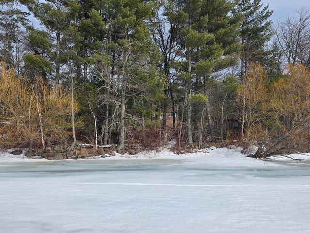 TBD Andrusia Road SE Lot 4, Block 1, Cass Lake, MN 56633