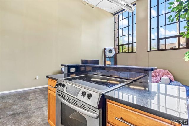 1720 Chouteau Avenue 103, St Louis, MO 63103