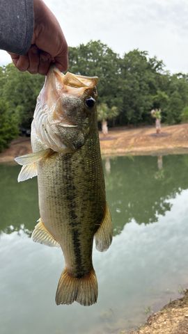 2599 County Road 2510, Quinlan, TX 75474