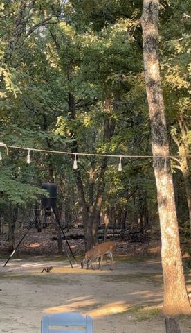 2599 County Road 2510, Quinlan, TX 75474