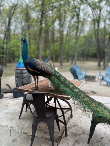 2599 County Road 2510, Quinlan, TX 75474